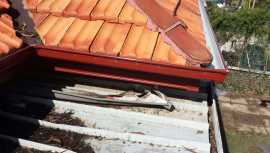 Guttering, Ermington