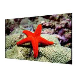 Buy Hikvision Video Wall LCD Display in Dubai UAE, d.ed 5,963