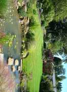 Professional Garden Renovation Sydney, Eastwood