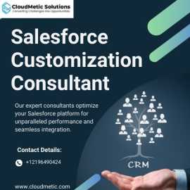 Salesforce Customization Consultant, New Rochelle