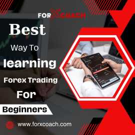 Best Way To Learning Forex Trading For Beginners, Mandi