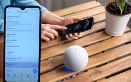How to Factory Reset Echo Dot: Get Solution Here, Haltom City