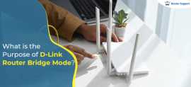 D-Link Router Bridge Mode, New York