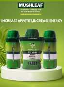 Buy Mushleaf Ayurvedic Nutrition for Weight Gain, ¥ 353