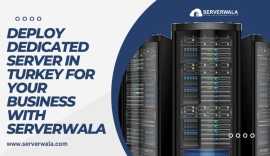 Deploy Dedicated Server in Turkey for Business, Ağrı
