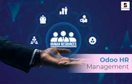 Odoo HR Management | Balj Technology., New York