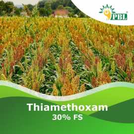 Buy Today Thiamethoxam 30% FS at Peptech Bioscienc, ₹ 0