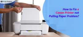 How to Fix a Canon Printer not Pulling Paper Probl, New York
