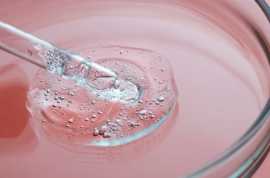Protein Hydrolysates Manufacturers, $ 0
