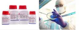 Yeast Extract Powder Manufacturers, $ 0