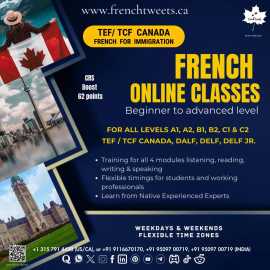 Unlock the Beauty of French with Live Online Class, Audet