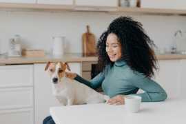Why Breaks Are Vital in Pet Grooming: A Groomer's , Chicago