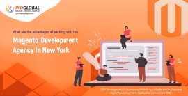 Looking New York Based Magento website Development, New York
