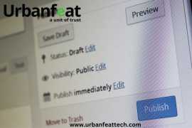 LucknowWebPros: Crafting Seamless WordPress , Lucknow