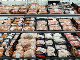 Choosing the Best: A Guide to Selecting Your Ideal, Boston