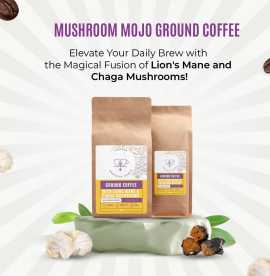 Buy Best Mushroom Coffee – Instant Lion’s Mane &am, $ 33