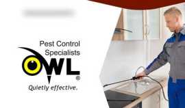 Pest Control Services Dublin Experts Near You, Dublin