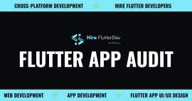 Get Mobile App Audit Services from Hire FlutterDev, New Hyde Park