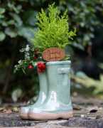 Add Holiday Spirit with Christmas Pots for Plants , $ 0