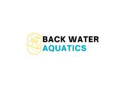 Buy Best Premium Aquatic Plant Online Store, Kochi
