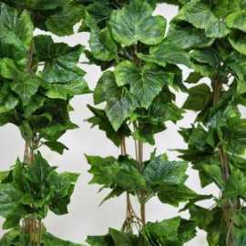 Shop Designer Hanging Baskets in Australia to Face, Braeside