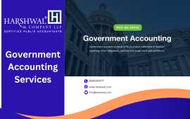 Professional Government Accounting Services, San Diego