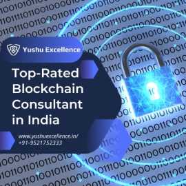 Top-Rated Blockchain Consultant in India, Hisar