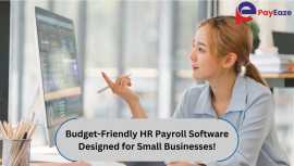 Affordable HR Payroll Software for Small Business, $ 0