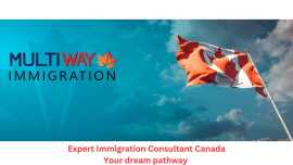  Expert Immigration Consultant Canada Your dream p, Edmonton