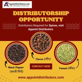 Authentic Indian Spice Distributors Appointment, Noida