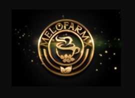 Order Dark Roast Whole Coffee Beans Online: Intens, New City