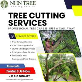 Top Tree Cutting Services in Hyderabad Expert nhn, Hyderabad