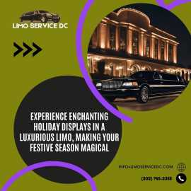 Christmas Light Limo Tours, Washington