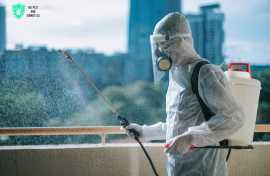 Termite Barrier Solutions – Protect Your Property , Gold Coast