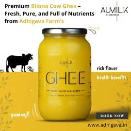 Premium Bilona Cow Ghee – Fresh, Pure, and Full of, Rajkot