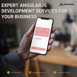Expert AngularJS Development Services for Your Bus, Indianapolis