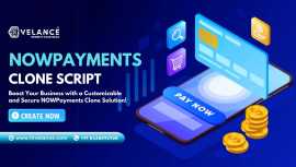 NOWpayments Clone Script: Launch a Crypto Payment , Los Angeles