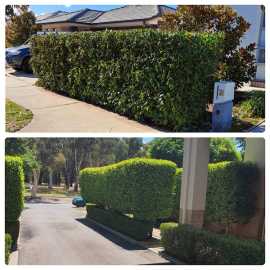 Transform Your Outdoors with Garden Maintenance, Canberra