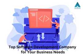 Top Software Development Company for Your Business, Lucknow
