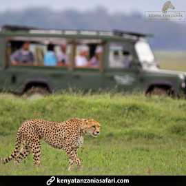The Ultimate Tanzania Safaris Adventure Awaits You