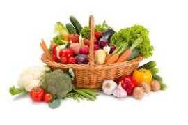 Importing Fresh Vegetables from India Made Simple, Mumbai