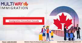 How Immigration Consultants in Canada Can Simplify, Edmonton
