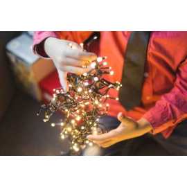 Big Christmas Light Tour in Zilker Park, Austin