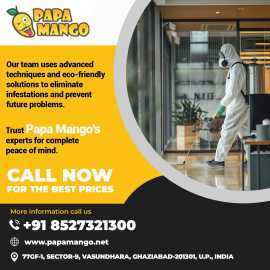 Comprehensive Termite Control and Treatment , Noida