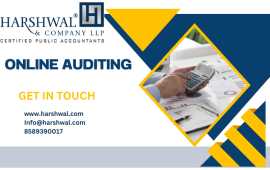 Expert Online Auditing Services, San Diego