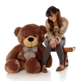 Attractive 4 feet Teddy Bear , $ 118