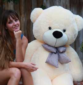 Lovely Huggable Teddy Bear , $ 240