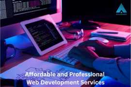 Affordable Web Development Services, Lucknow