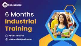 CodeSquadz ExpertLed 6 Month Industrial Trainining, Noida