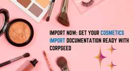 Import Now: Get Cosmetics Import Documentation, Noida